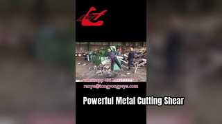 Q43-2500 Ножницы типа «аллигатор»